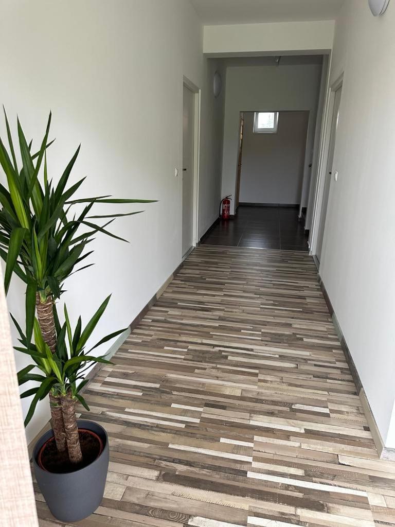 Kehida Relax Apartmanhaz Appartement *